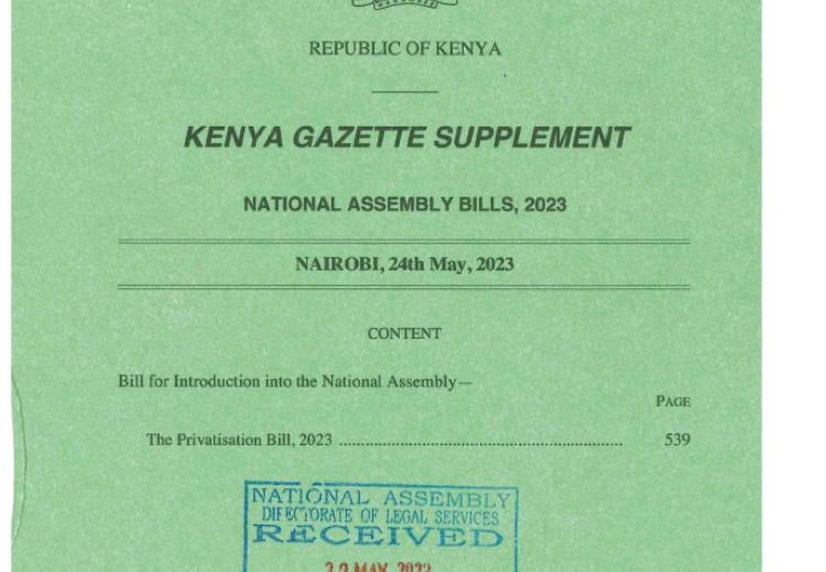 National Assembly Commences Public Participation on Privatisation Bill